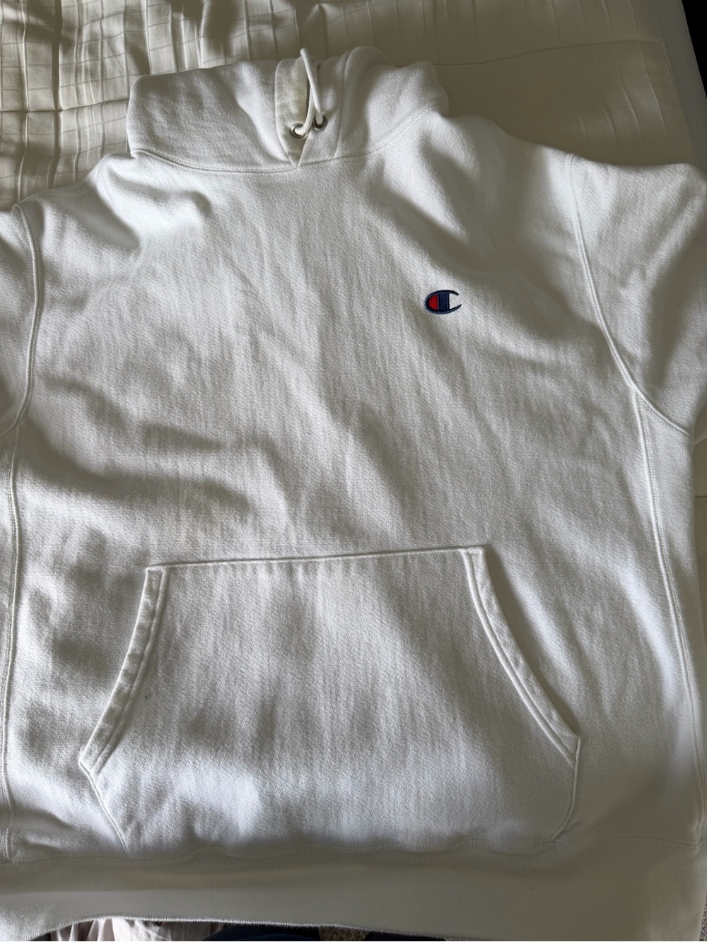Champion Men’s Hoodie